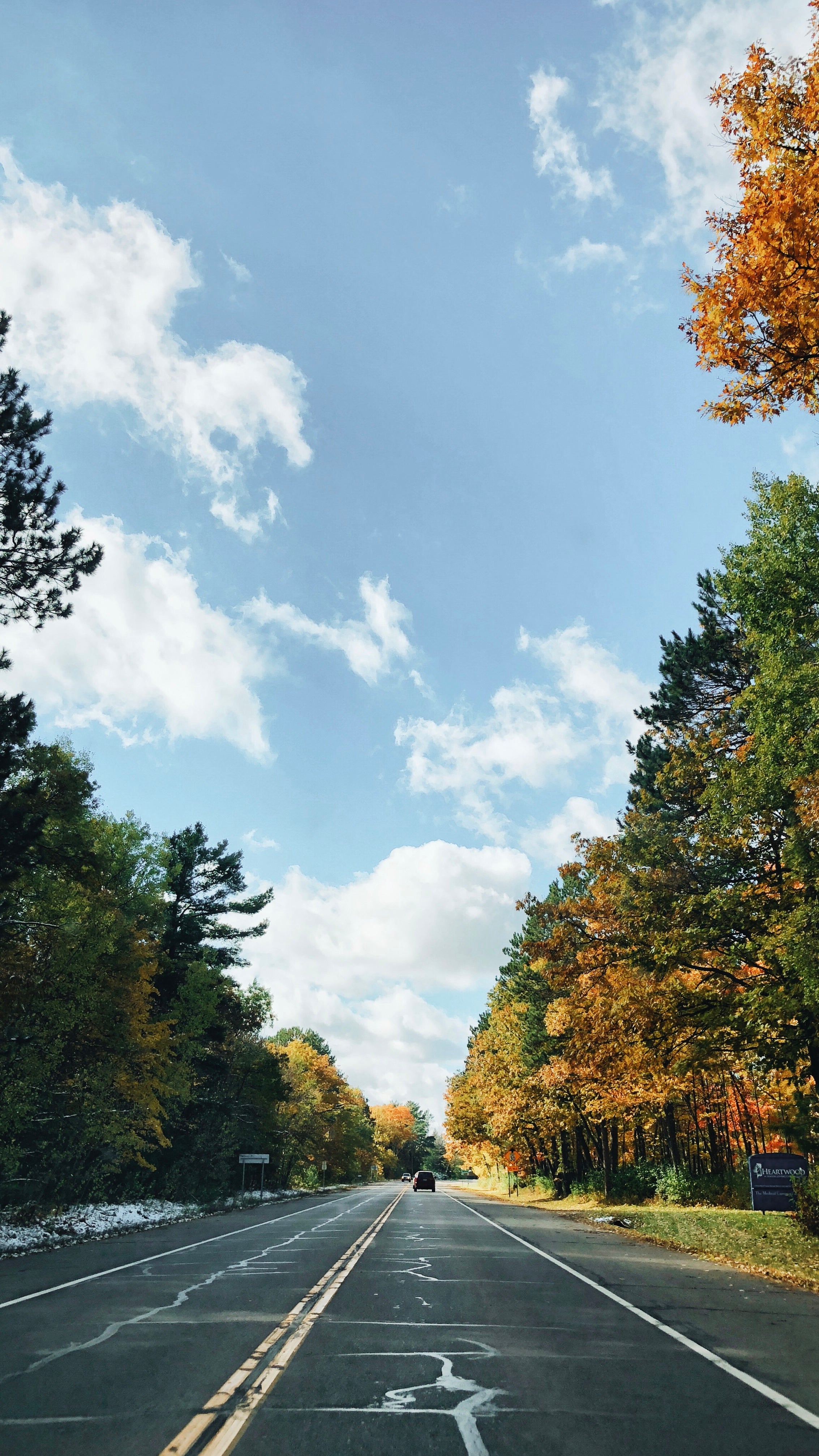 Fall trees and road photo